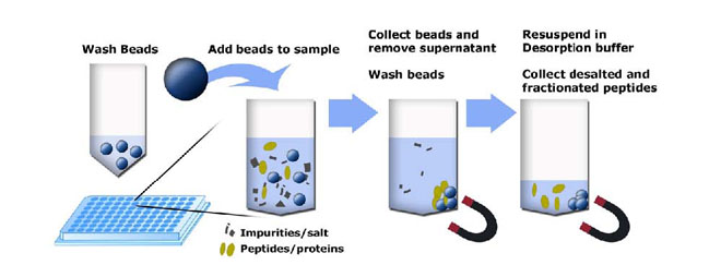 magSI proteomics vs ZipTips